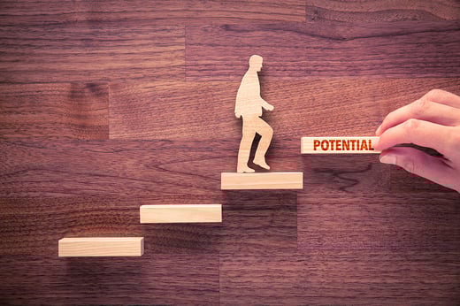 Executive Coaching