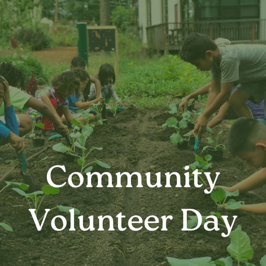 Community Volunteer Day at Seeds